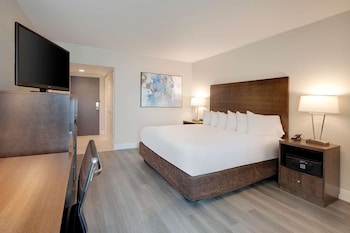 Standard Room, 1 King Bed, Non Smoking, Refrigerator & Microwave