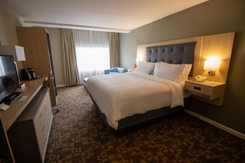 Standard Room, 1 King Bed