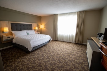Standard Room, 1 King Bed, Accessible (Communications)