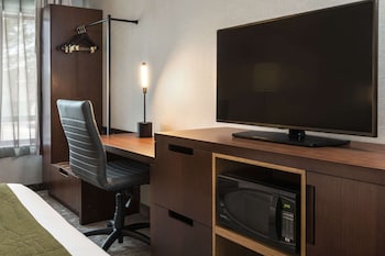 Standard Room, Non Smoking (1 King Bed with 1 person sofa bed)