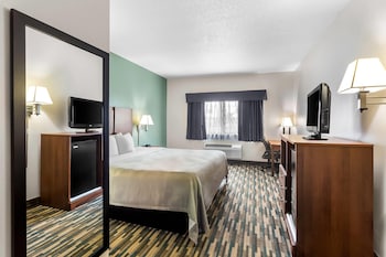 Standard Room, 1 King Bed, Non Smoking