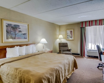 Standard Room, 1 King Bed, Non Smoking