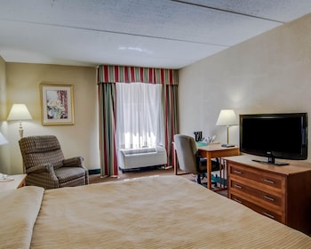 Standard Room, 1 King Bed, Non Smoking