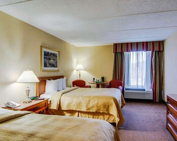 Standard Double Room, 2 Double Beds, Non Smoking