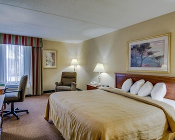 Room, 1 King Bed, Non Smoking