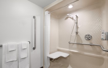 Standard Room, 1 King Bed, Roll-in Shower (Mobility)