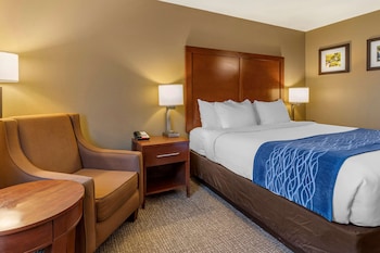 Standard Room, 1 King Bed