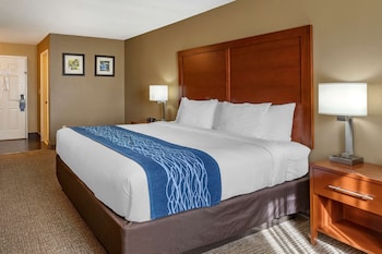 Room, 1 King Bed, Non Smoking (Upgrade)
