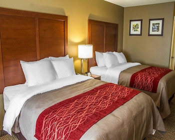 Standard Room, 2 Queen Beds