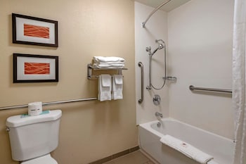Room, 1 King Bed, Accessible, Non Smoking