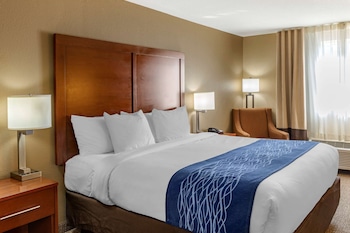 Room, 1 King Bed, Non Smoking (Upgrade)