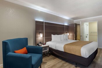 Standard Room, 1 King Bed, Accessible, Non Smoking
