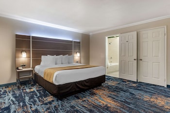 Standard Room, 1 King Bed, Non Smoking