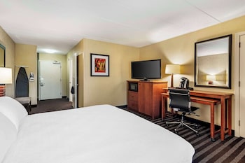 Standard Room, 1 King Bed, Accessible, Refrigerator & Microwave