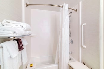 Suite, 1 King Bed, Accessible, Refrigerator & Microwave (with Sofabed)