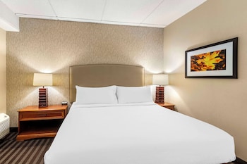 Standard Room, 1 King Bed, Non Smoking, Refrigerator & Microwave