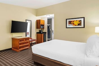 Standard Room, 1 King Bed, Non Smoking, Refrigerator & Microwave (Larger Room)