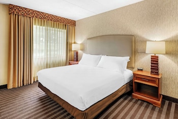Standard Room, 1 King Bed, Accessible, Refrigerator & Microwave