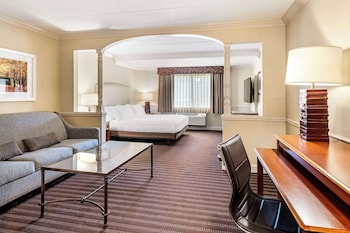Suite, 1 King Bed, Accessible, Refrigerator & Microwave (with Sofabed)