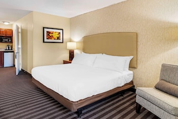 Standard Room, 1 King Bed, Accessible, Refrigerator & Microwave