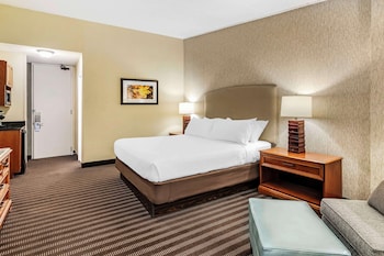 Standard Room, 1 King Bed, Non Smoking, Refrigerator & Microwave (Larger Room)