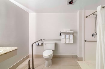Standard Room, 1 King Bed, Accessible, Refrigerator & Microwave