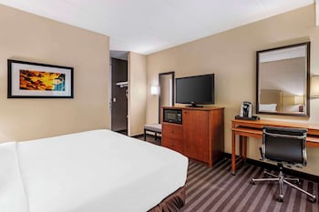 Standard Room, 1 King Bed, Non Smoking, Refrigerator & Microwave