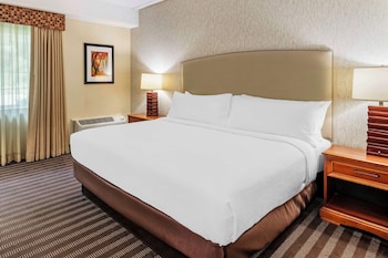 Standard Room, 1 King Bed, Non Smoking, Refrigerator & Microwave