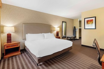 Standard Room, 1 King Bed, Accessible, Refrigerator & Microwave