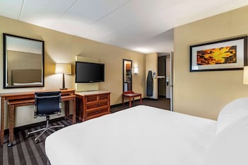 Standard Room, 1 King Bed, Accessible, Refrigerator & Microwave