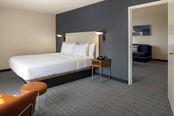 Suite, 1 King Bed with Sofa bed