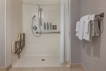 Room, 1 King Bed (Mobility/Hearing Access, Roll-In Shwr)