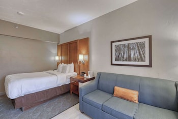Suite, 1 Double Bed with Sofa bed, Accessible, Non Smoking