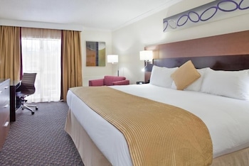 Room, 1 King Bed, Non Smoking