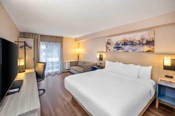 Room, 1 King Bed