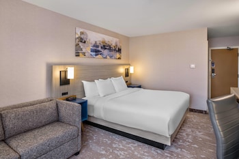 Room, 1 King Bed
