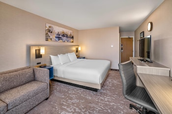 Room, 1 King Bed