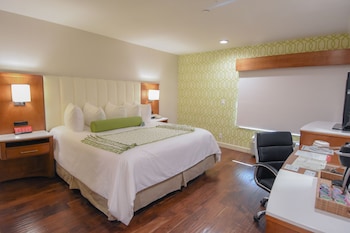 Suite, 1 Bedroom