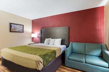 Room, 1 King Bed with Sofa bed, Accessible, Non Smoking (Accessible Tub)