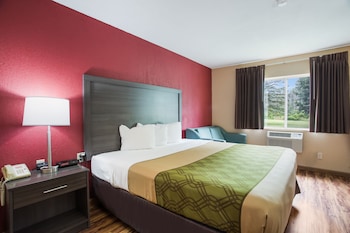 Room, 1 King Bed with Sofa bed, Accessible, Non Smoking (Roll-In Shower)