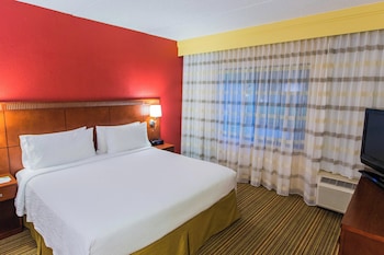 Room, 1 King Bed with Sofa bed