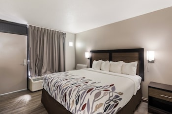 Superior Room, 1 King Bed, Non Smoking