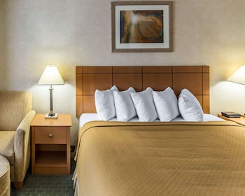 Standard Room, 1 King Bed, Non Smoking
