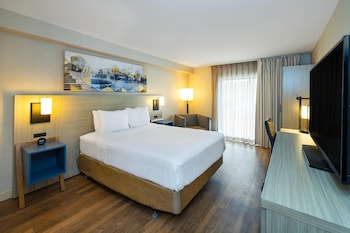 Room, 1 King Bed with Sofa bed, Non Smoking