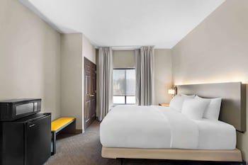 Suite, 1 King Bed, Non Smoking (Sofa Bed, Walk in shower)
