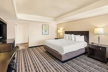Standard Room, 1 King Bed, Non Smoking, Refrigerator & Microwave