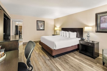 Standard Room, 1 King Bed, Non Smoking, Refrigerator & Microwave (Pet Friendly)