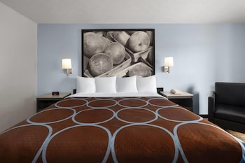 Standard Room, 1 King Bed, Non Smoking