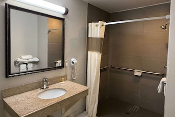 Standard Room, 1 King Bed, Accessible