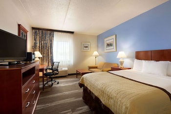 Suite, 1 King Bed with Sofa bed, Non Smoking